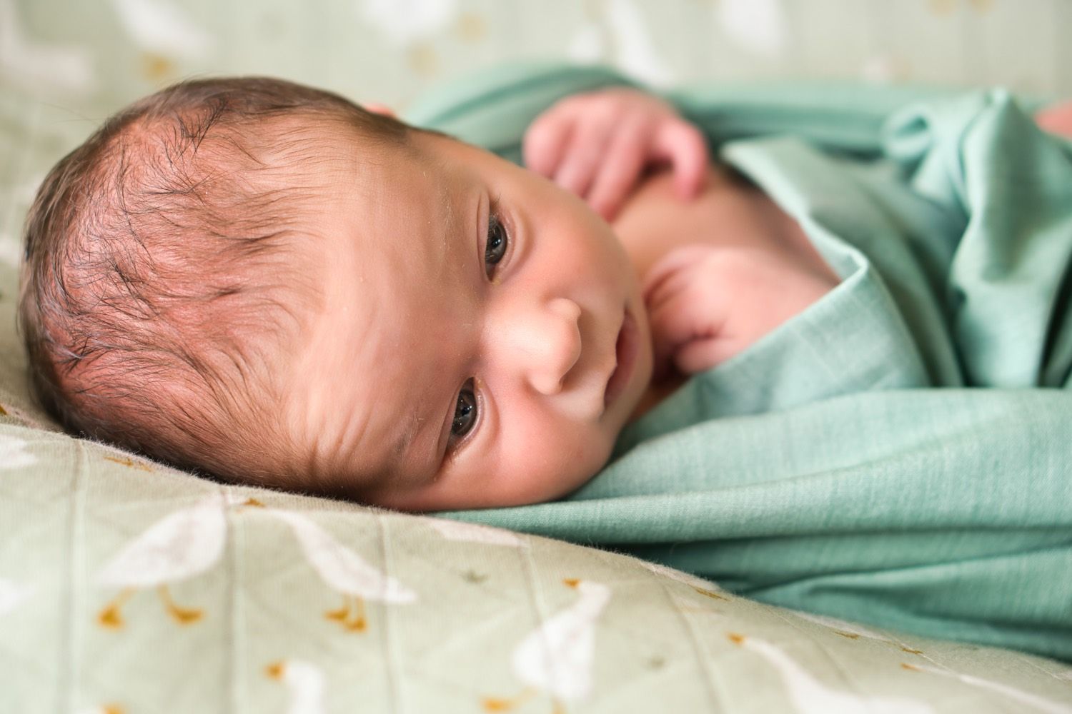 Newborn foto CPhotography