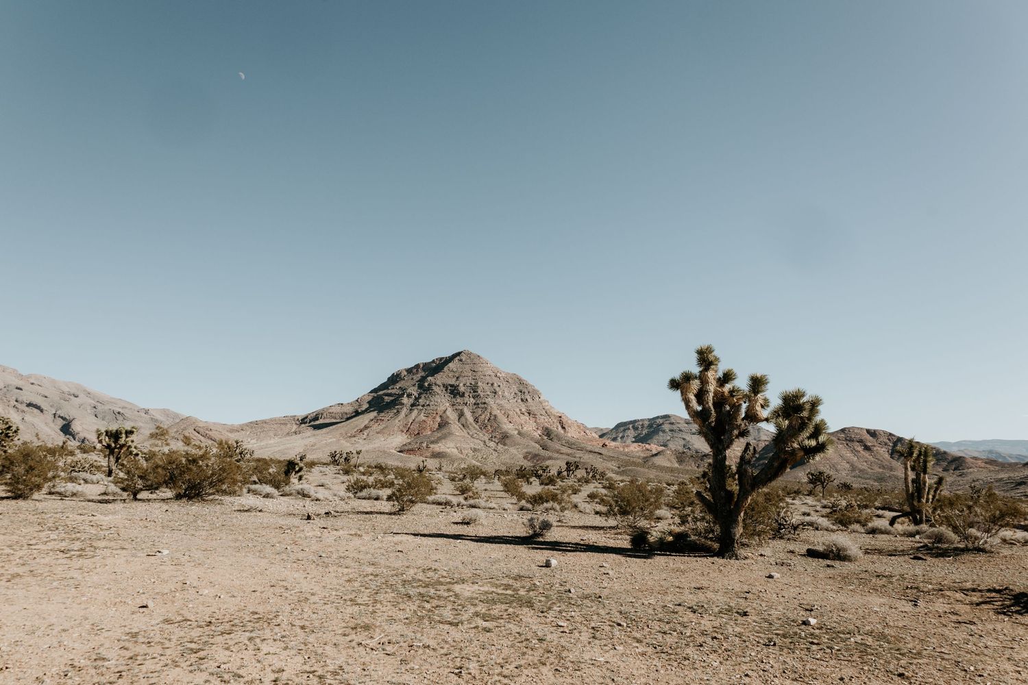 utah desert