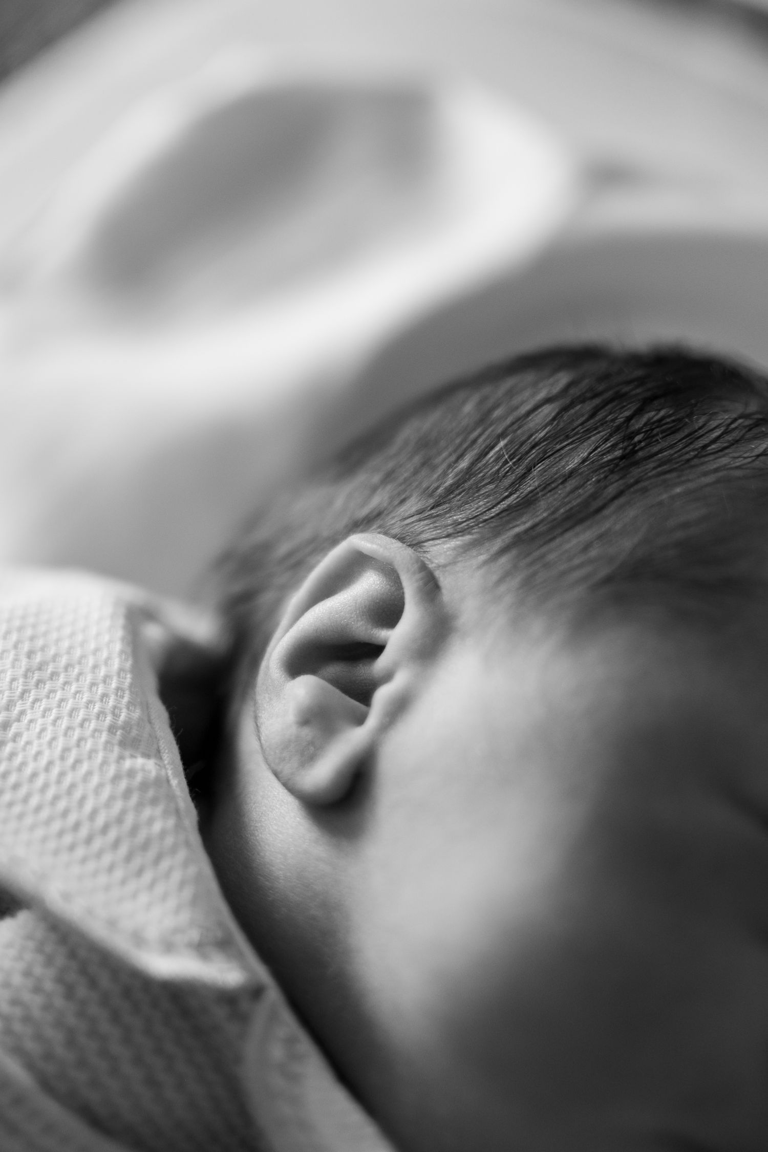 Fresh 48 hours photographer in New Jersey