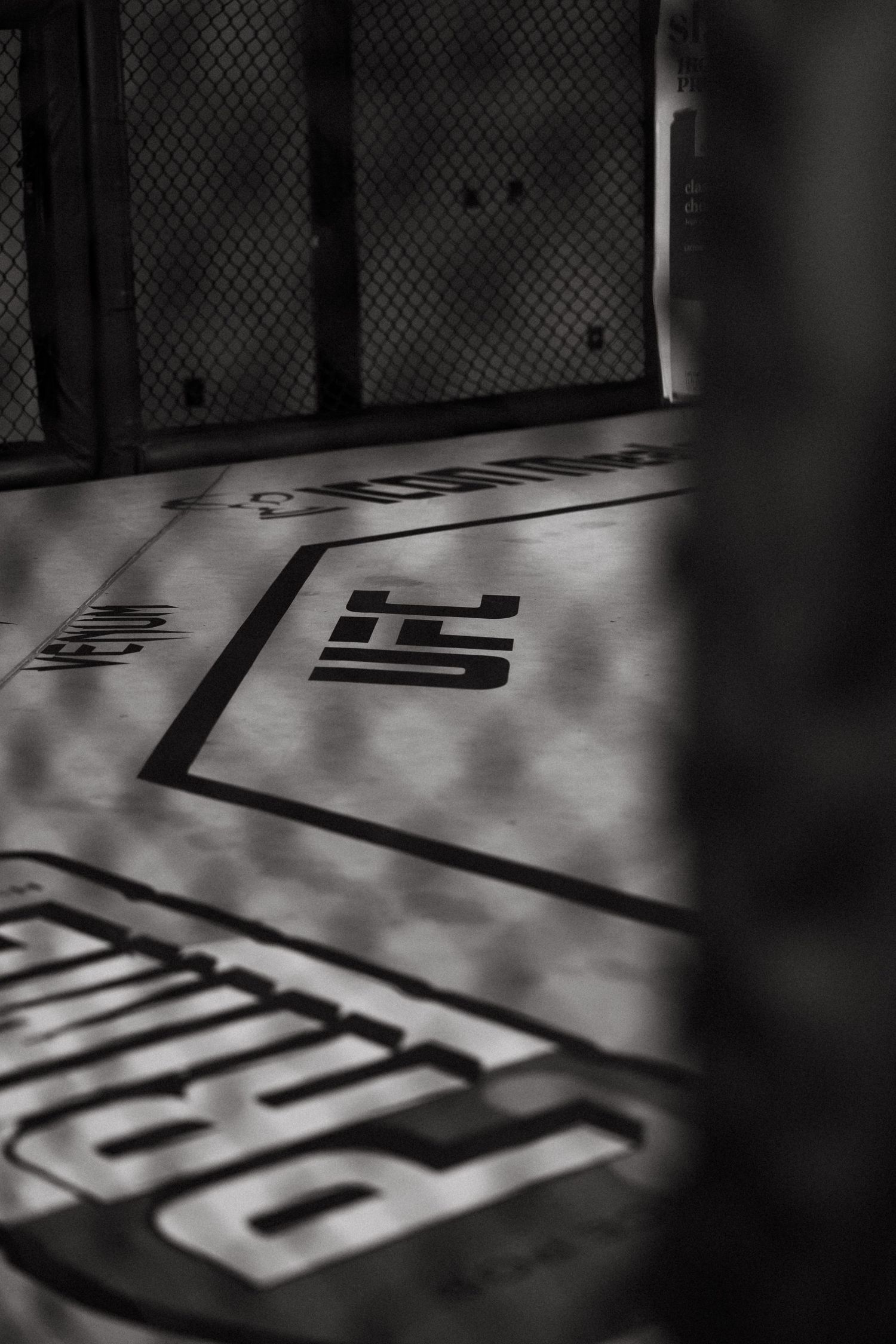 Black and white photo of UFC octagon canvas with logo and chain-link fence shadows in empty arena.