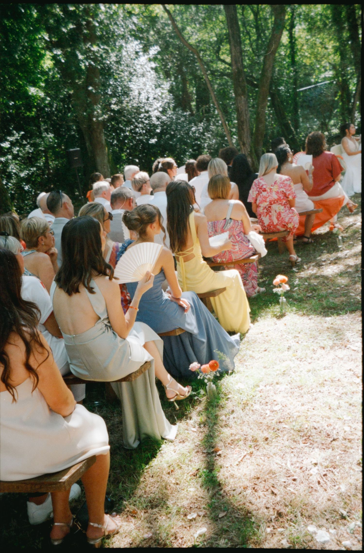 A group of wedding guests sit in rows of chairs along a wooded outdoor path scattered with pink flower petals.