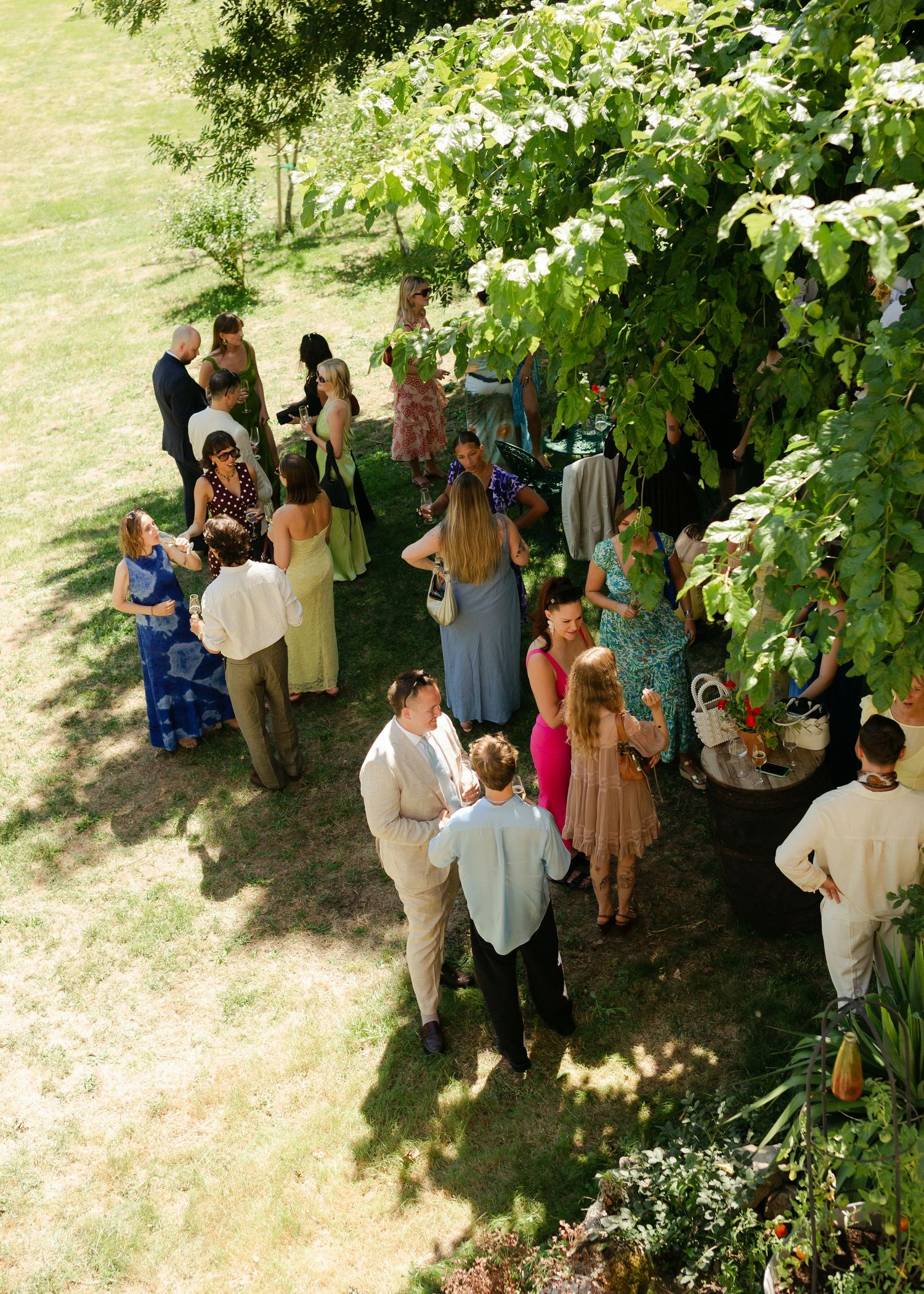 A group gathers under a shady tree during an outdoor summer celebration or wedding event.