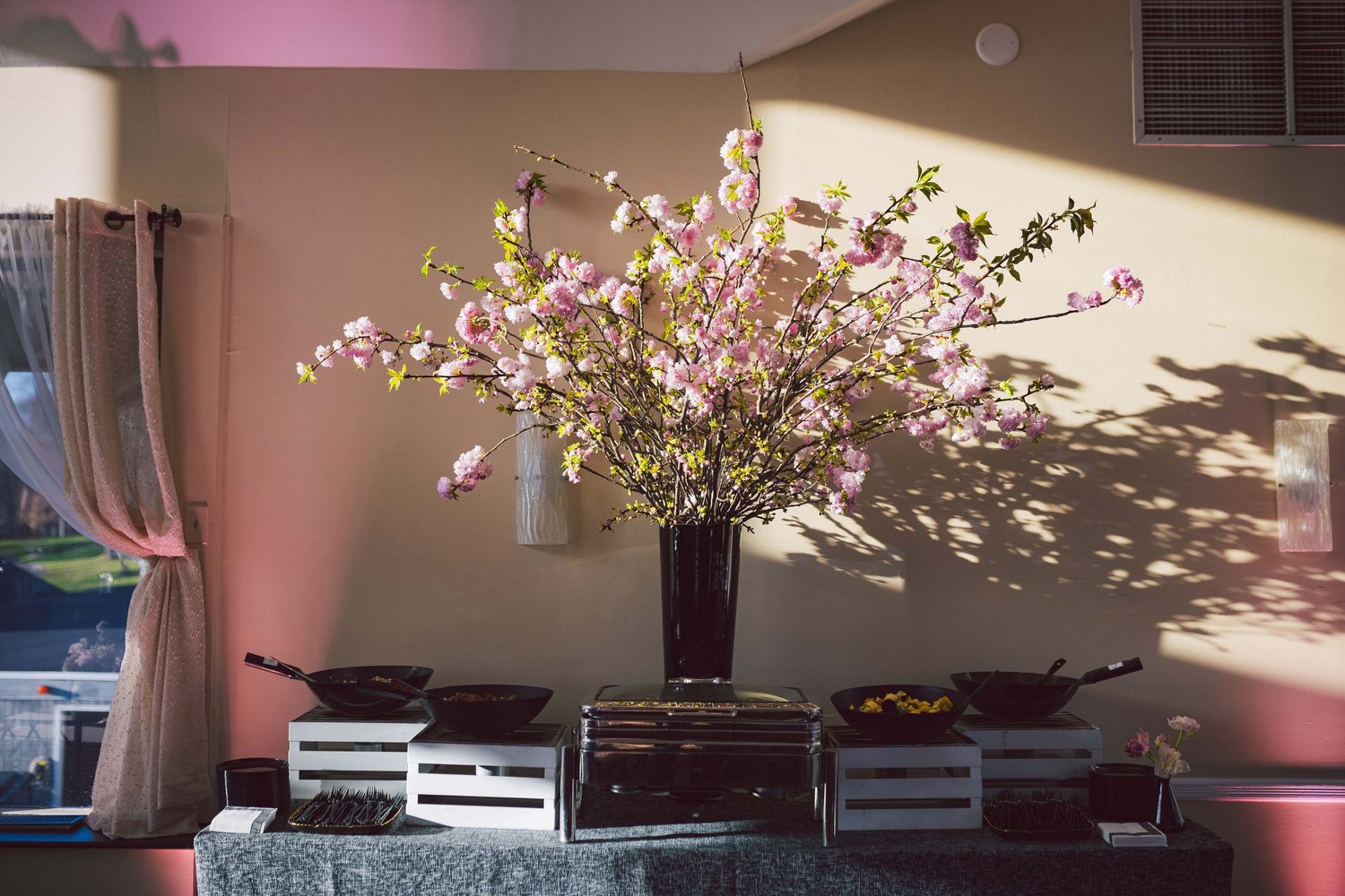 Sunlit interior space with cherry blossom branches casting shadows on pink walls.