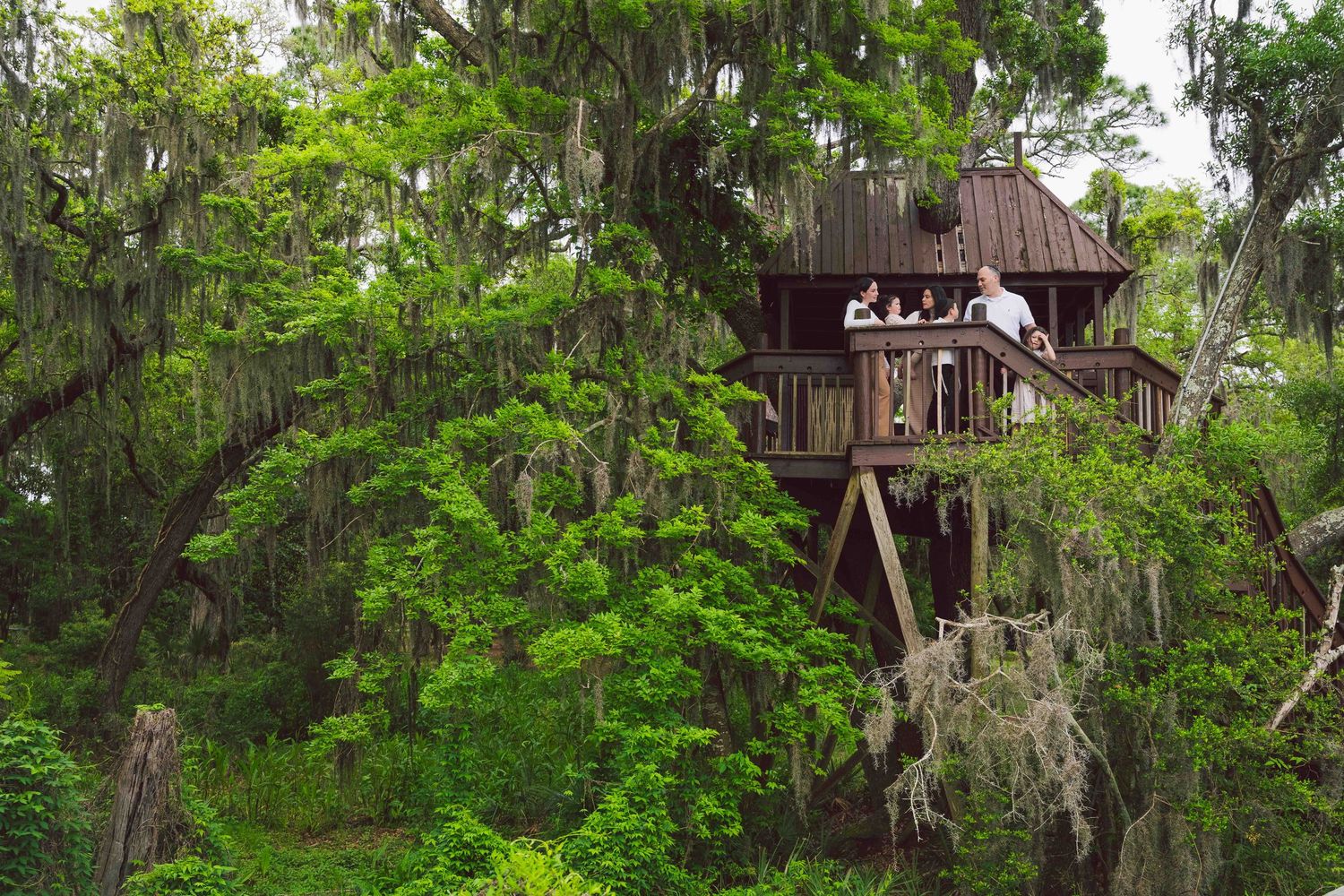 Rustic wooden treehouse nestled among lush green trees draped with Spanish moss in a southern forest setting.