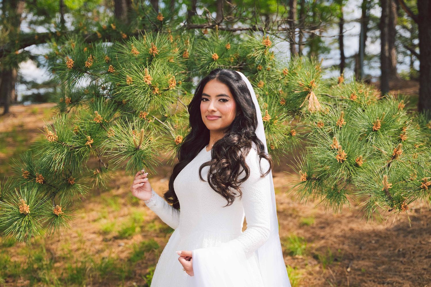 Bride in white gown and veil poses gracefully among pine tree branches in a forest setting.