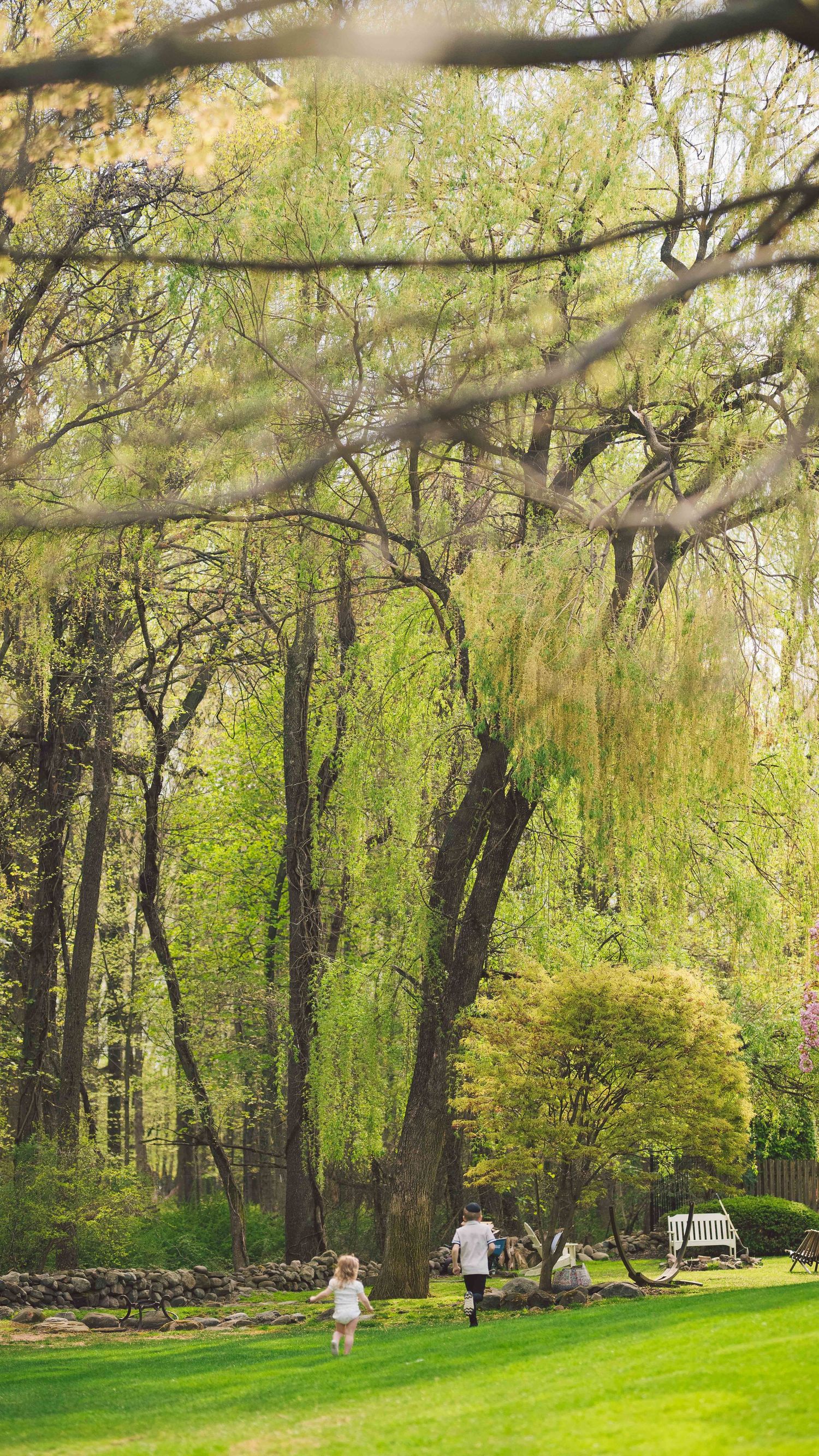 Scenic spring garden with weeping willows and green lawn benches.