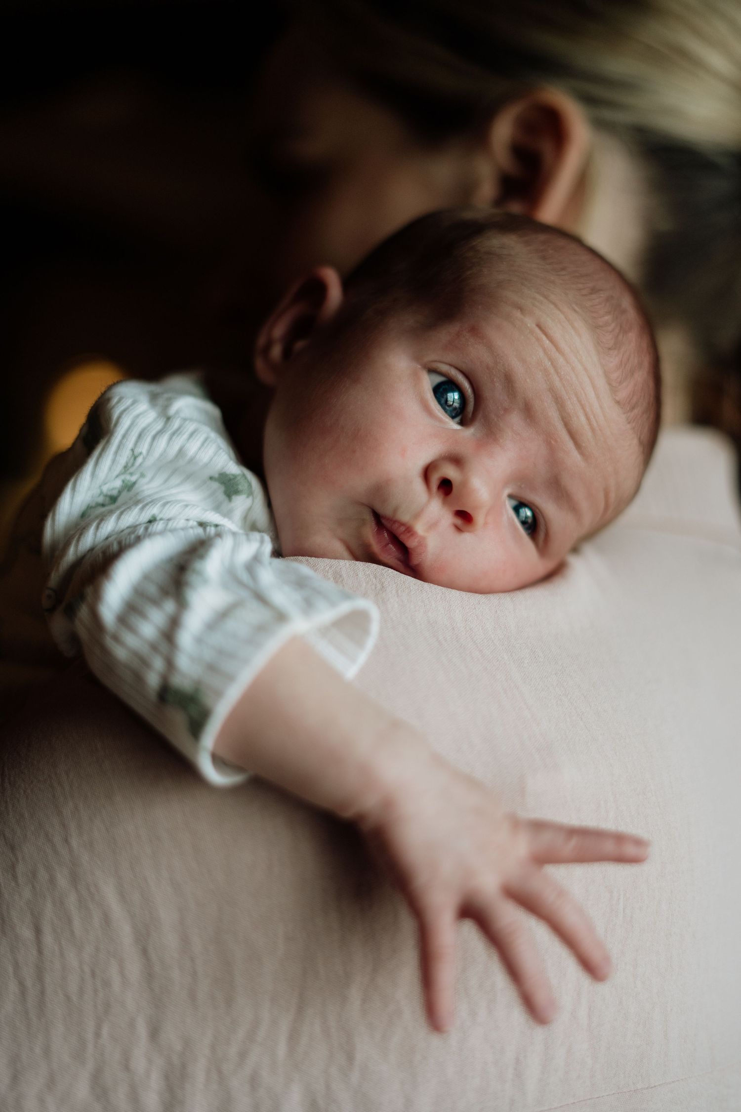 newborn photography
