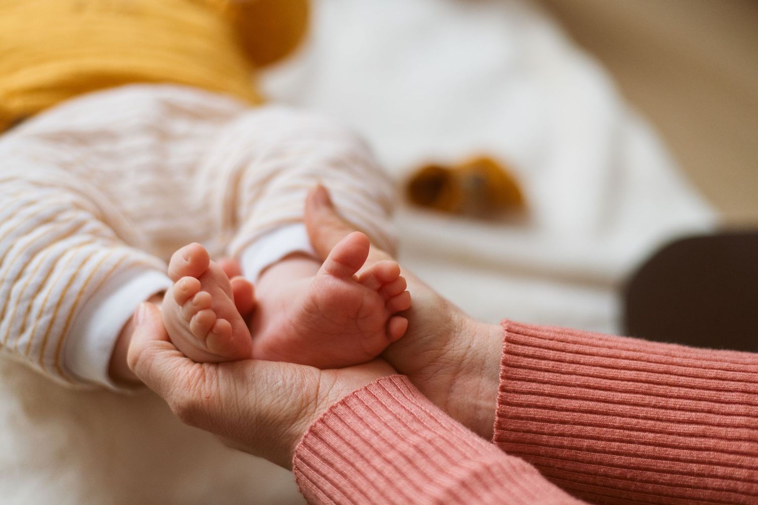 Photographe naissance Belfort
