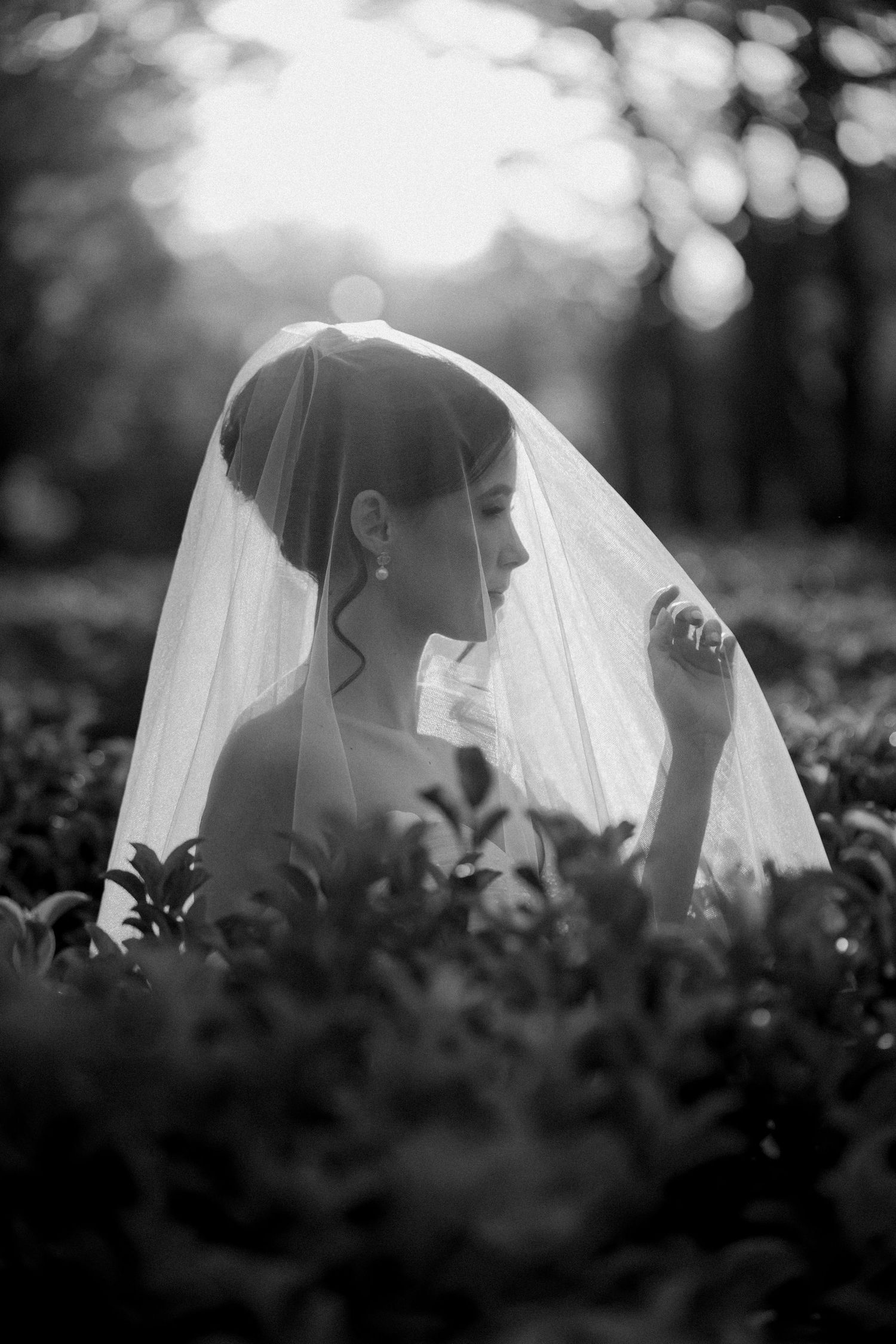 Black and white portrait of a bride with veil among garden foliage. - JCclick Wedding photo & Film - Best Cape Town Photographer.
