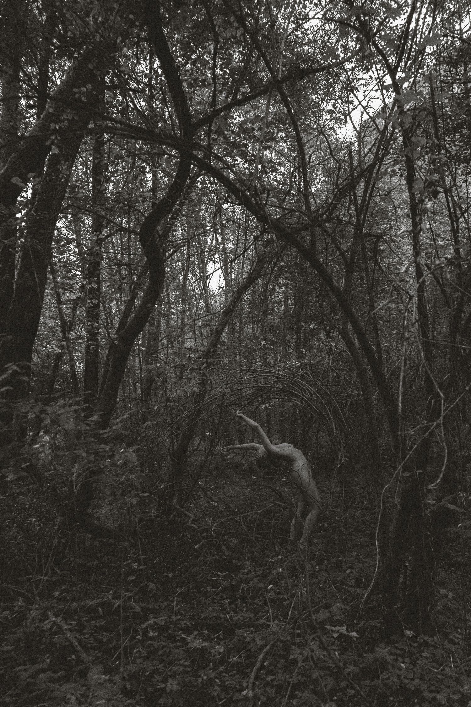 fotografia bianco e nero seppia di donna nuda nella natura mentre prende le sembianze del movimento degli alberi. rituale fotografico