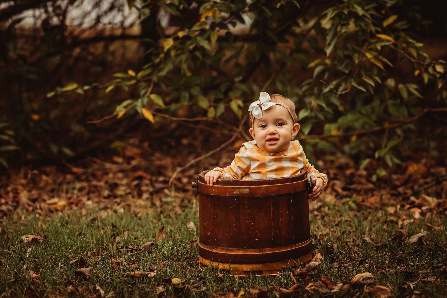A small kitten sits in a wooden barrel surrounded by autumn leaves in a rustic outdoor setting.