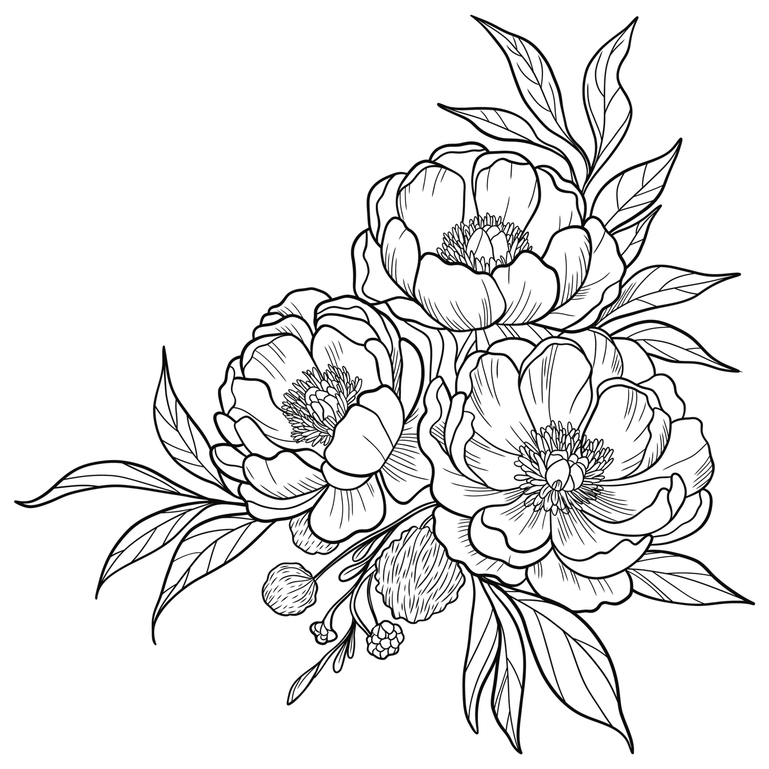 Hand-drawn black and white floral pattern with delicate peony blooms and leaves arranged in a horizontal border design.
