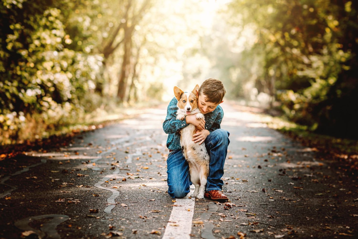 A young boy crouches on a tree-lined road hugging his small brown and white dog in warm autumn light.