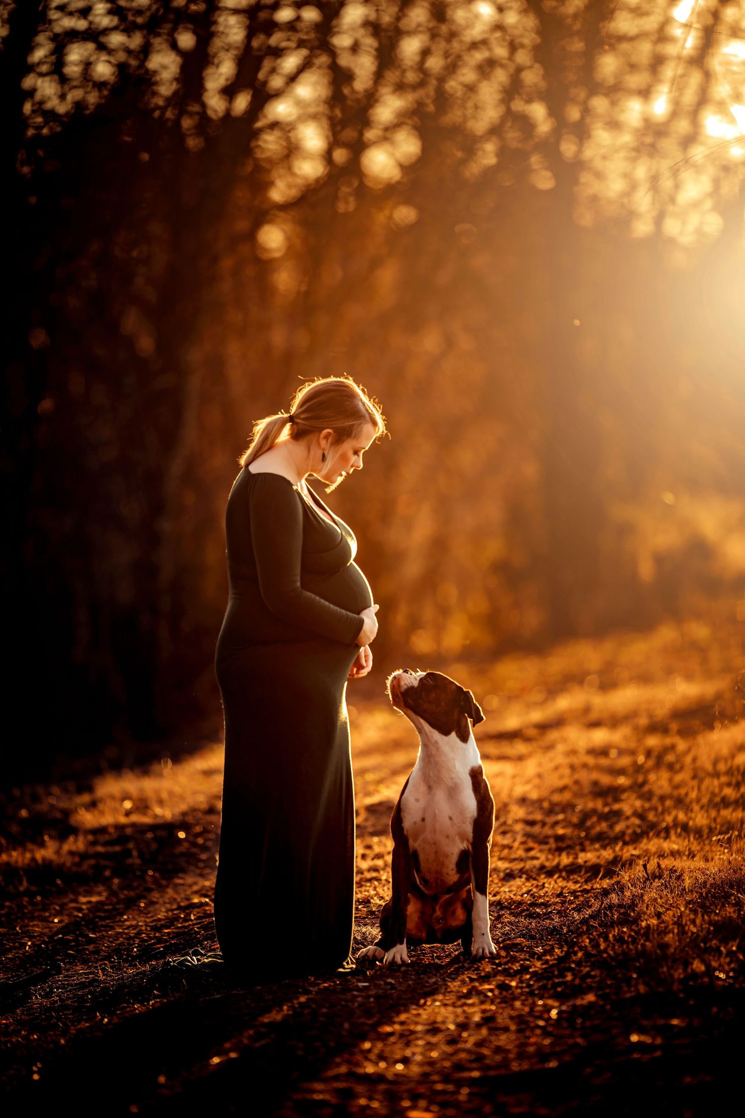 Pregnant woman in black dress standing with her dog at golden sunset in an autumn park.