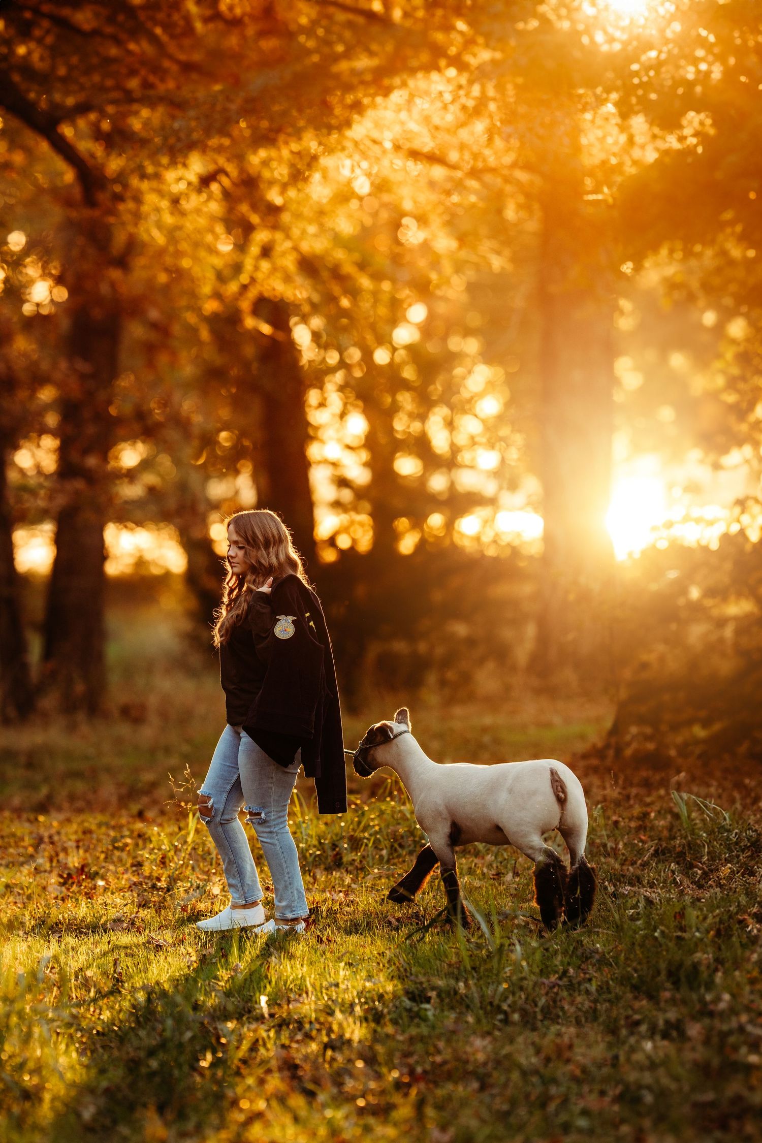 Girl standing with a lamb in a golden autumn forest at sunset, warm bokeh light filtering through orange and yellow trees.