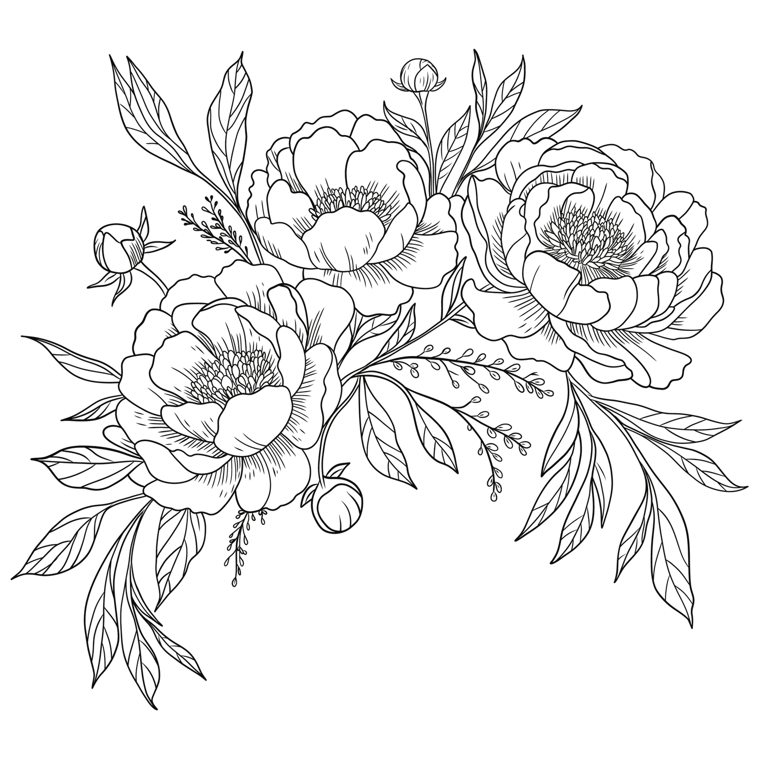 Hand drawn floral border design with delicate peony flowers and leaves in a decorative horizontal arrangement.