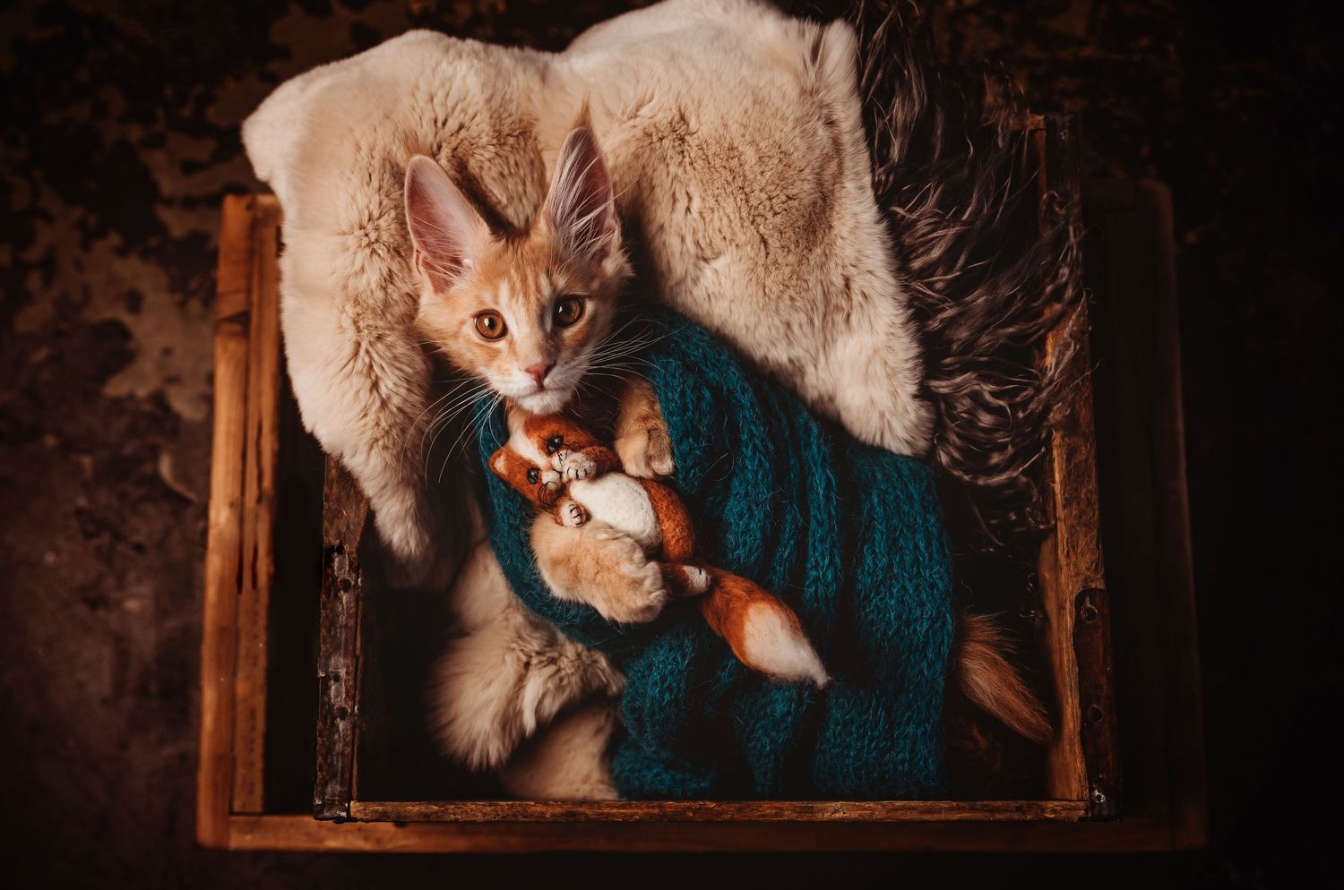 A ginger kitten cuddles a small fox toy wrapped in a teal blanket inside a rustic wooden crate.