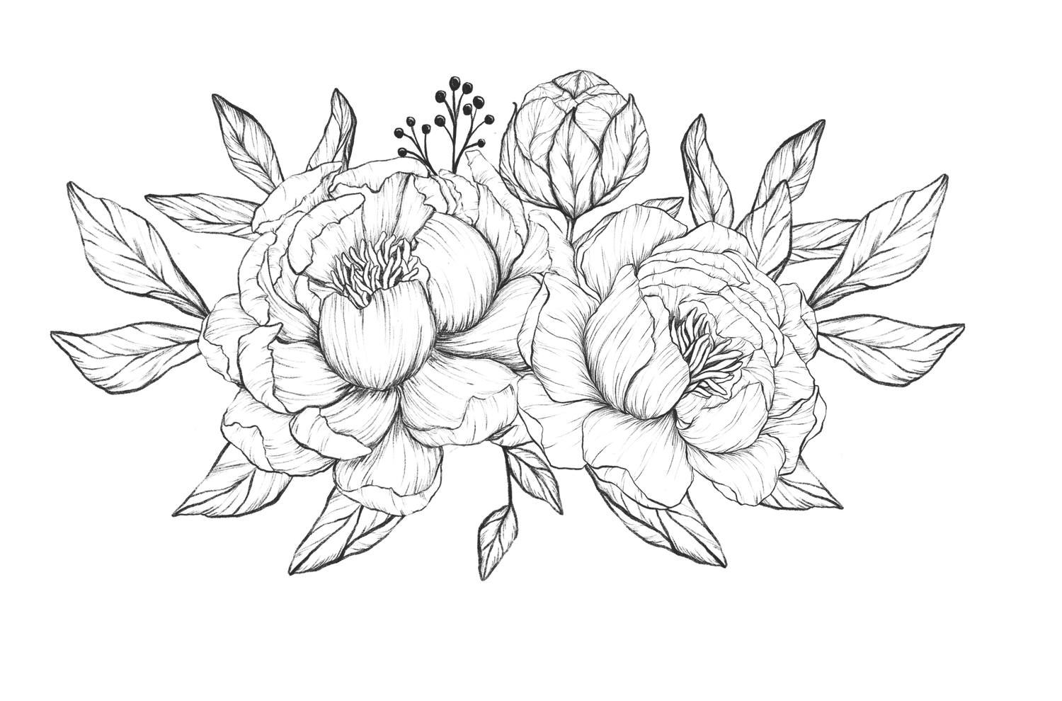 Hand drawn floral border design with delicate peony flowers and leaves in a decorative arrangement.