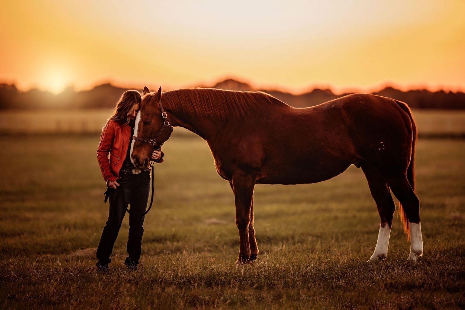 Woman in red jacket stands with chestnut horse in golden field at sunset, showcasing equestrian bond.