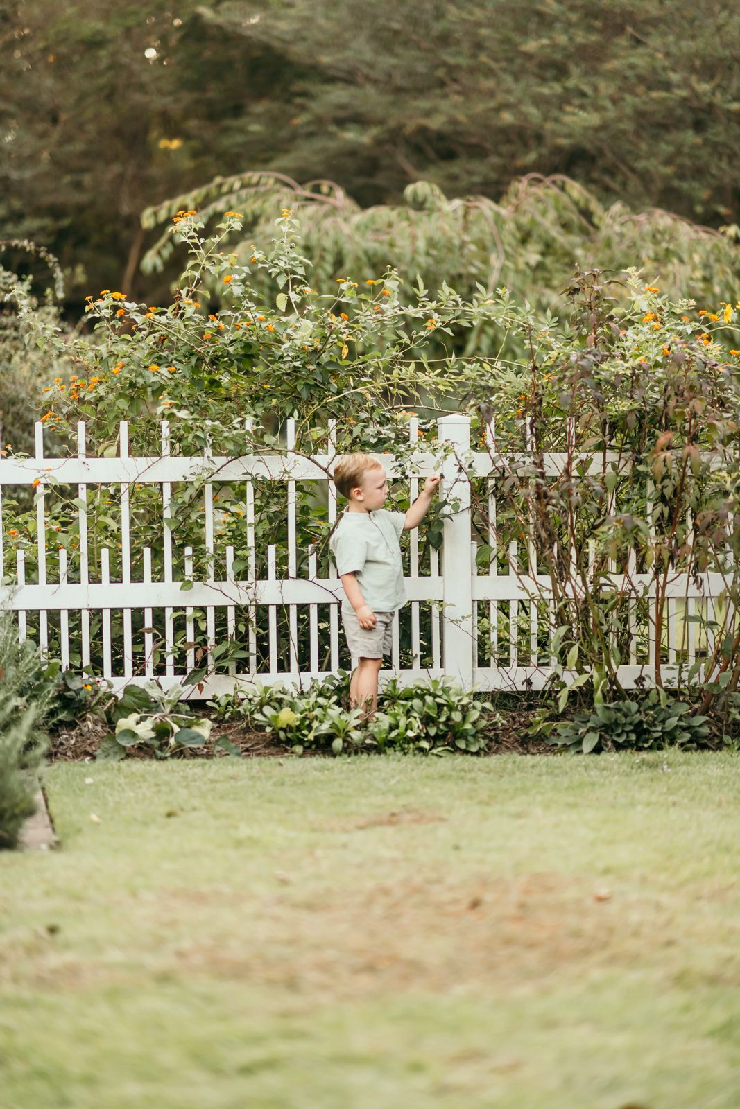 White picket fence bordering a lush garden with children playing.