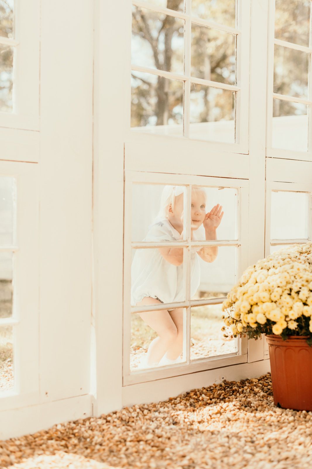 A creative photo through window panes showing movement and light with fall decor.