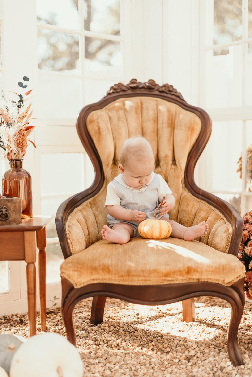 A baby sits on a vintage velvet chair examining a small pumpkin in an autumn-themed setting.