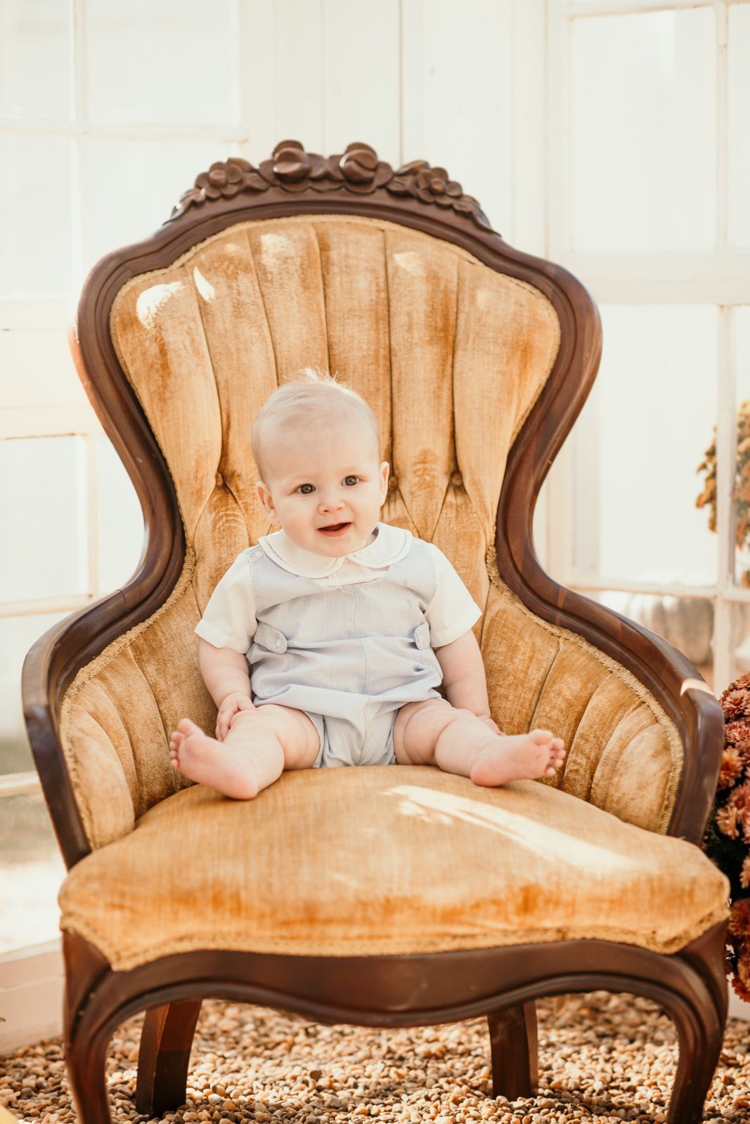 A baby wearing a light gray outfit lies on a vintage gold velvet settee in a bright, sunlit room.