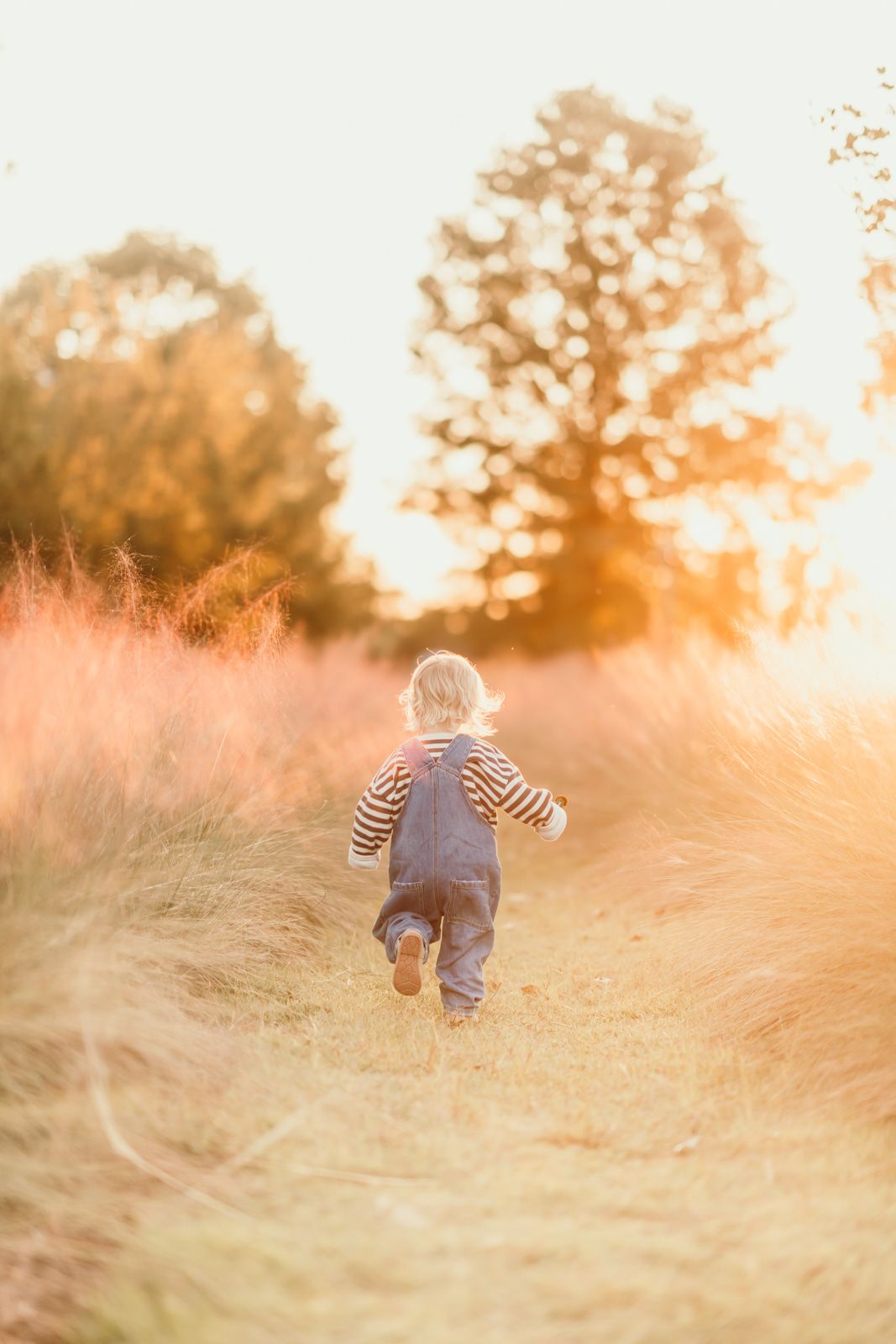 A small figure in overalls walks through a golden wheat field at sunset as warm light filters through trees in background.