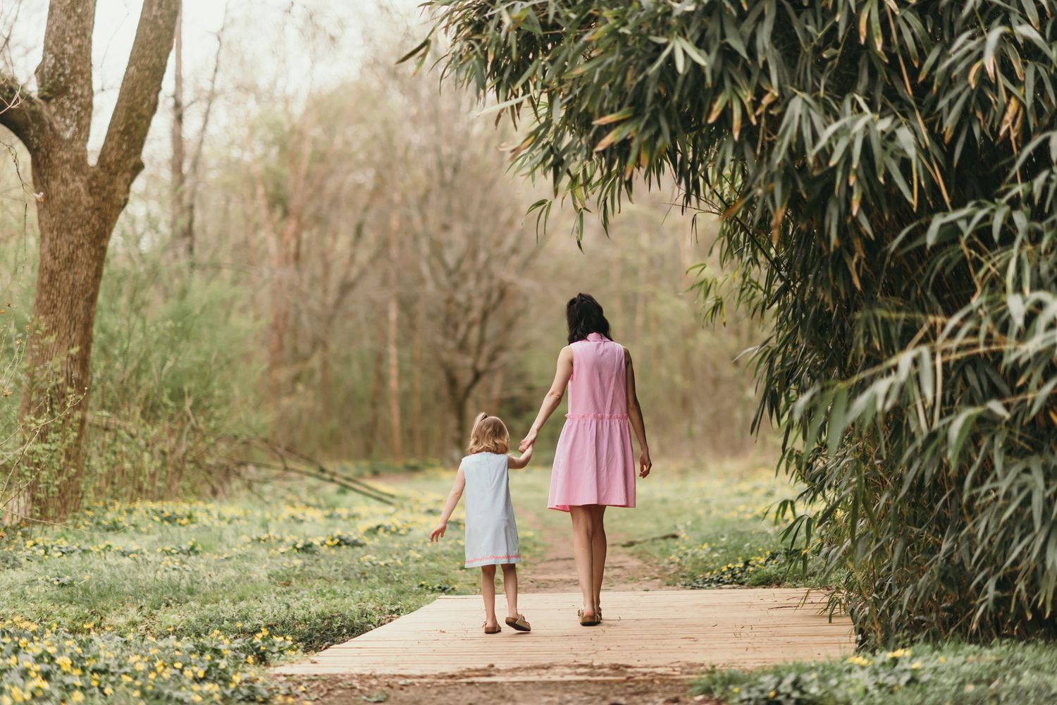 Two people walk hand in hand down a peaceful wooded path surrounded by bamboo trees on a misty morning.