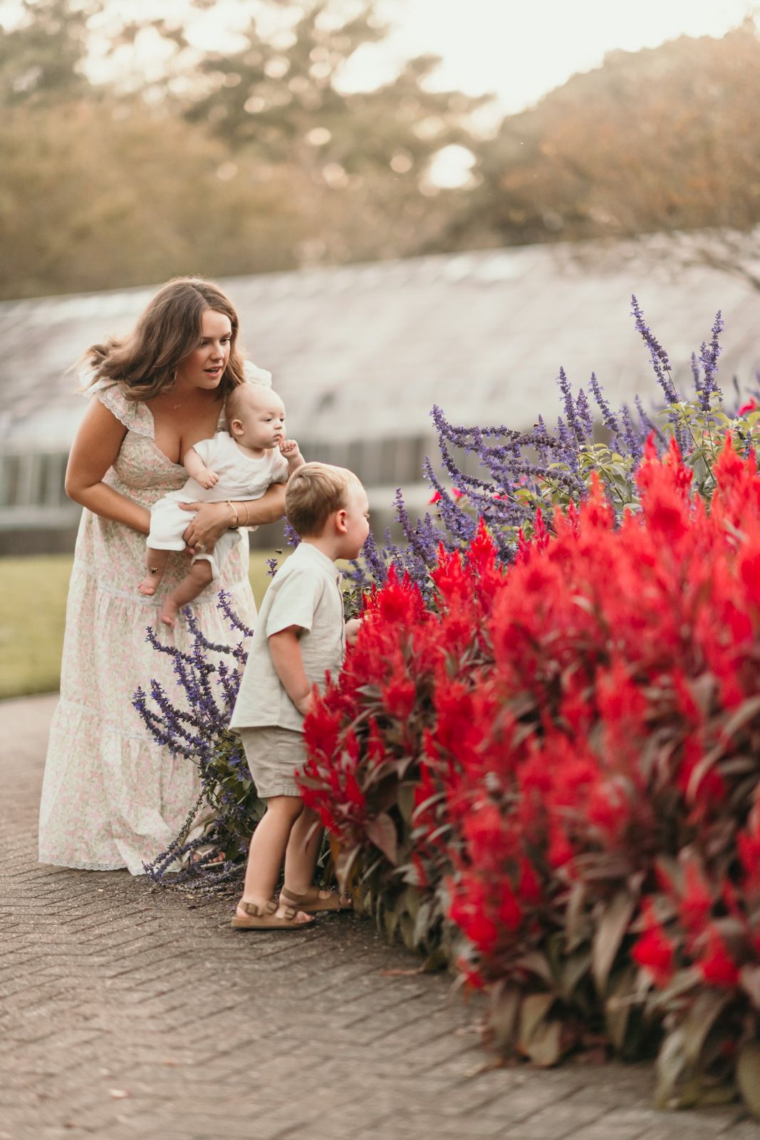 A tender moment shared beside vibrant red flowers and purple lavender blooms in a garden setting at sunset.