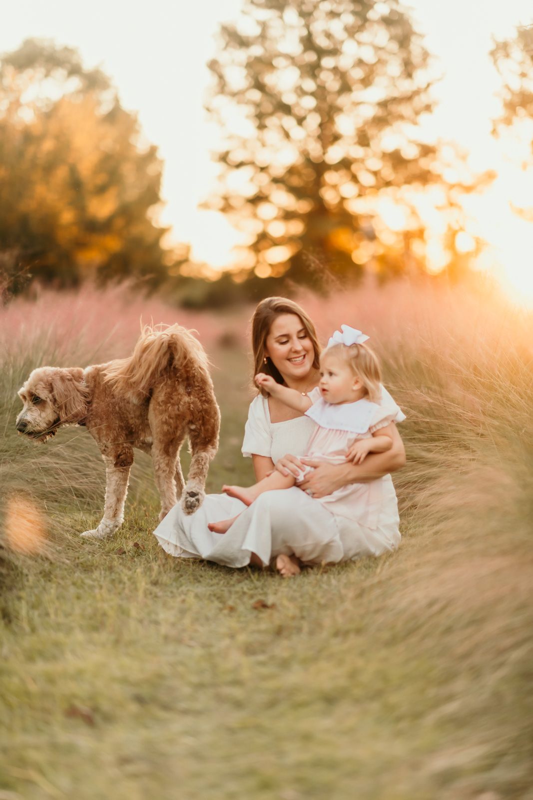 A woman in a white dress sits in a grassy field at sunset with her dog as golden light illuminates the scene.