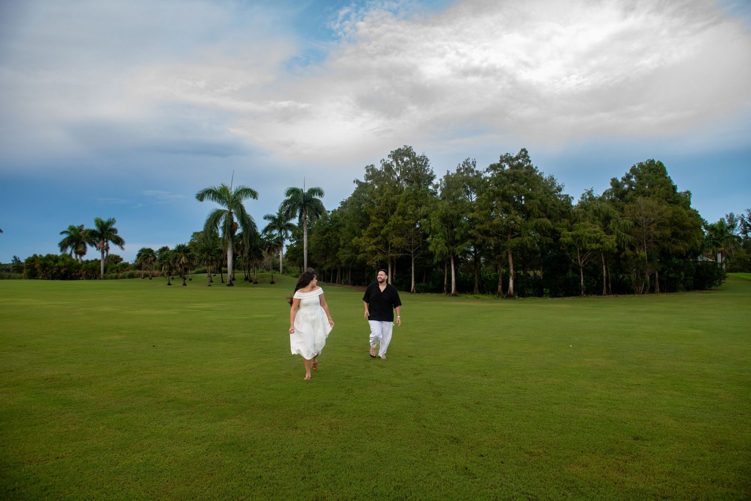Panoramic view of a grassy field with palm trees and blue sky.