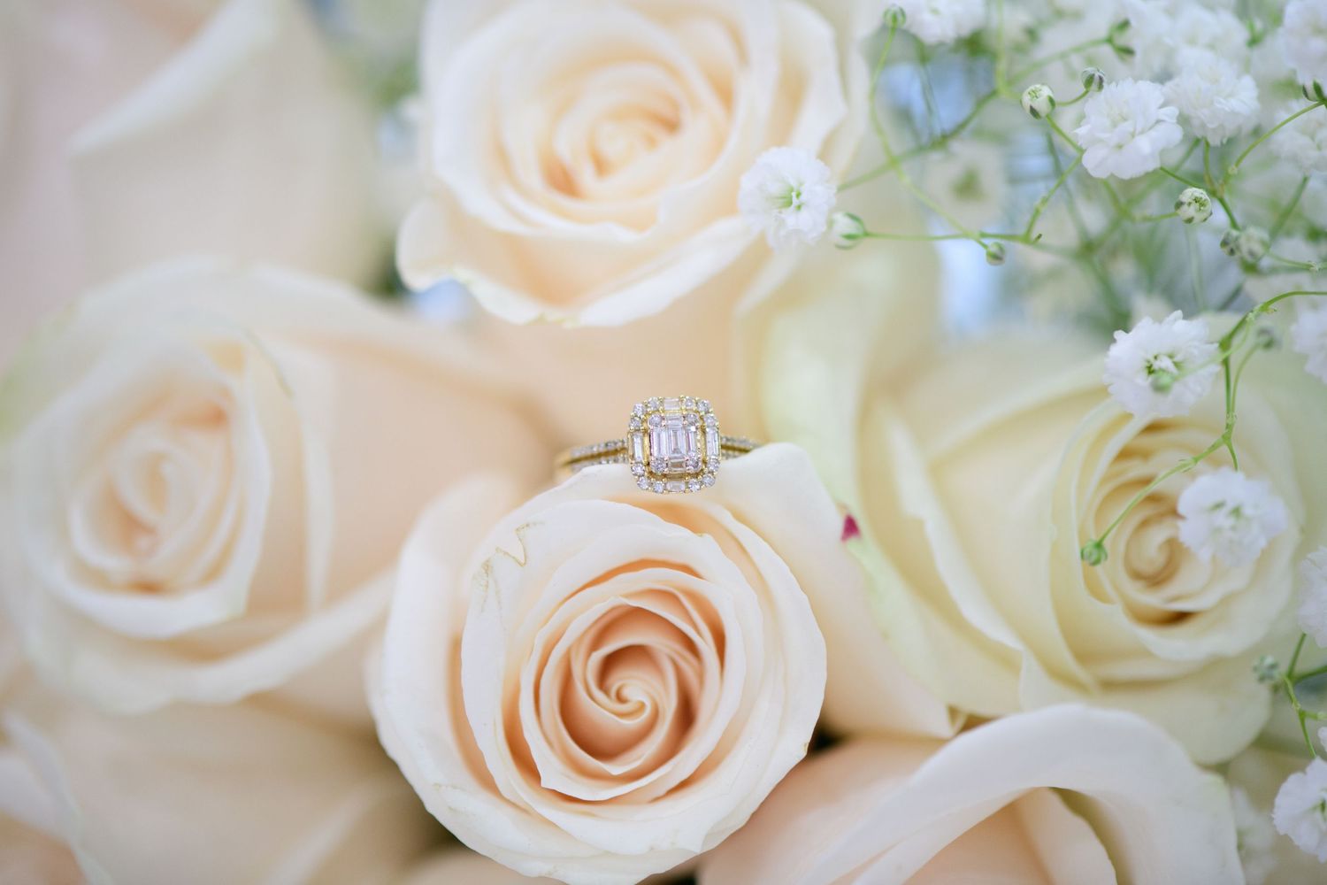 Wedding portraits of Delicate peach and cream roses arranged with baby's breath flowers in a romantic wedding bouquet.
