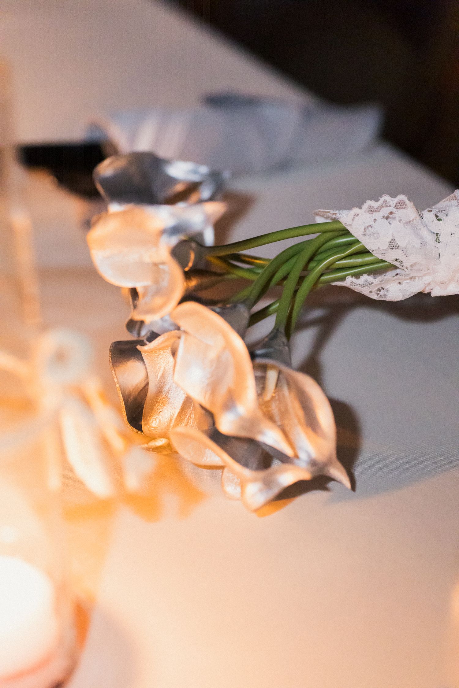 Vista Bella Drive Auburn California Wedding Photographer