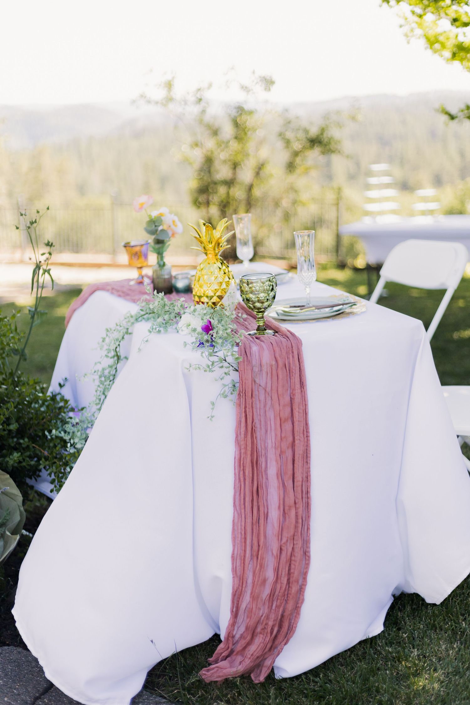 Lucchesi Vineyard & Winery Wedding Photographer Sophia Juarez