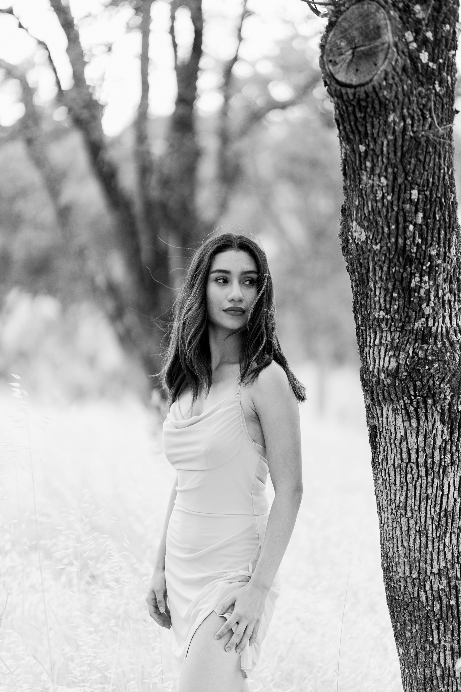 Fairfield Photographer