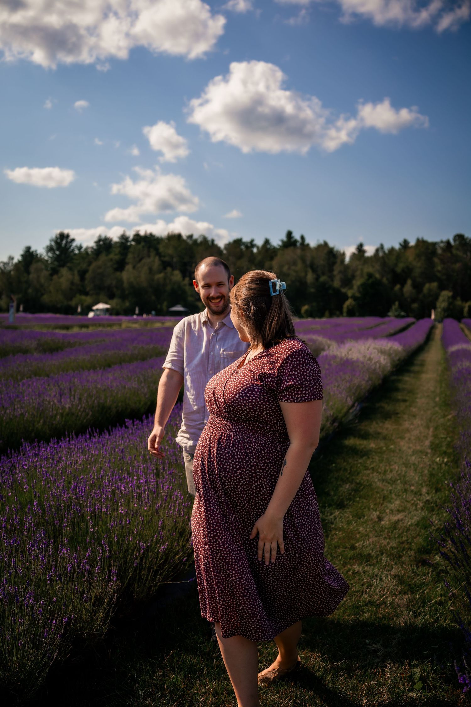Couple dans les lavandes à Magog