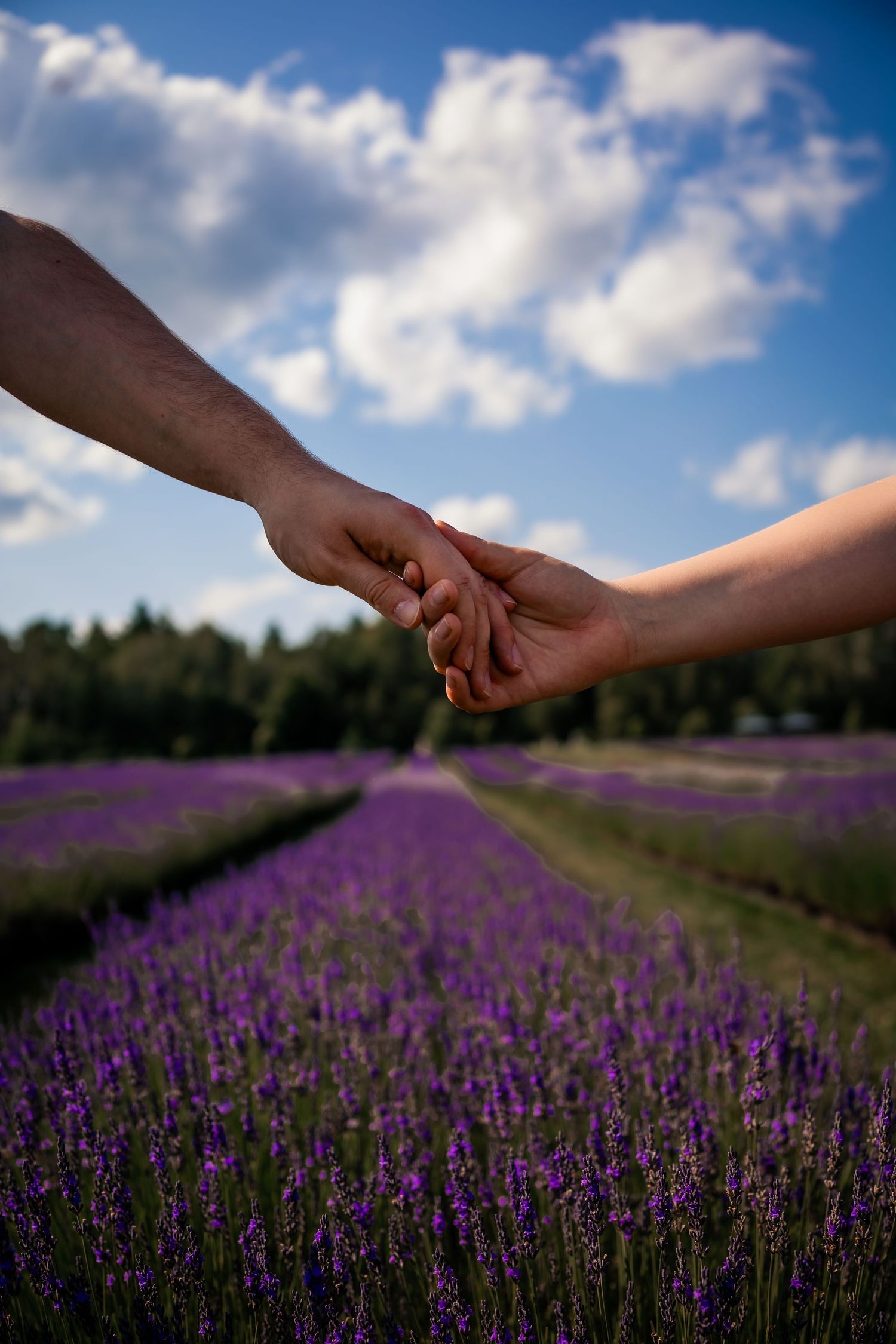 Photo de couple dans les lavandes à Magog