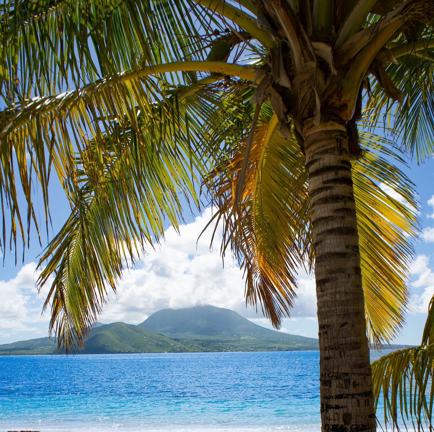 Saint Kitts and Nevis: Cockleshell Bay Beach is the top of St Kitts Best Beaches to visit on photography tours in st kitts from Basseterre