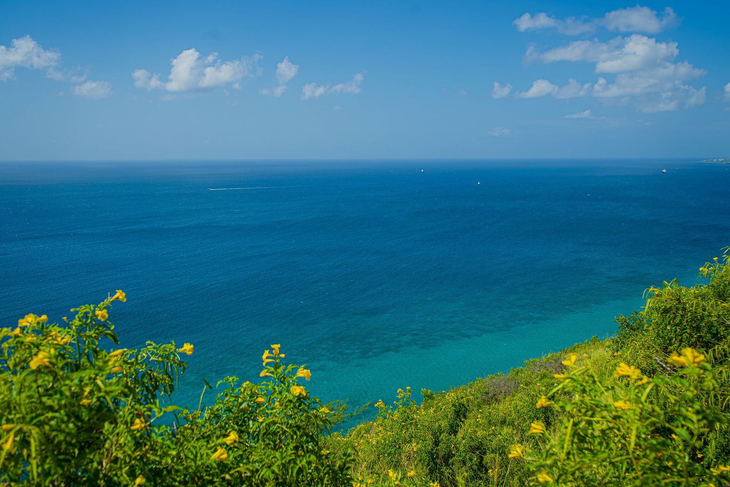 Scenic panoramic view of St. Kitts and its turquoise ocean waters. Stop here on the best St. Kitts Tours with St. Kitts Cruise Photography.