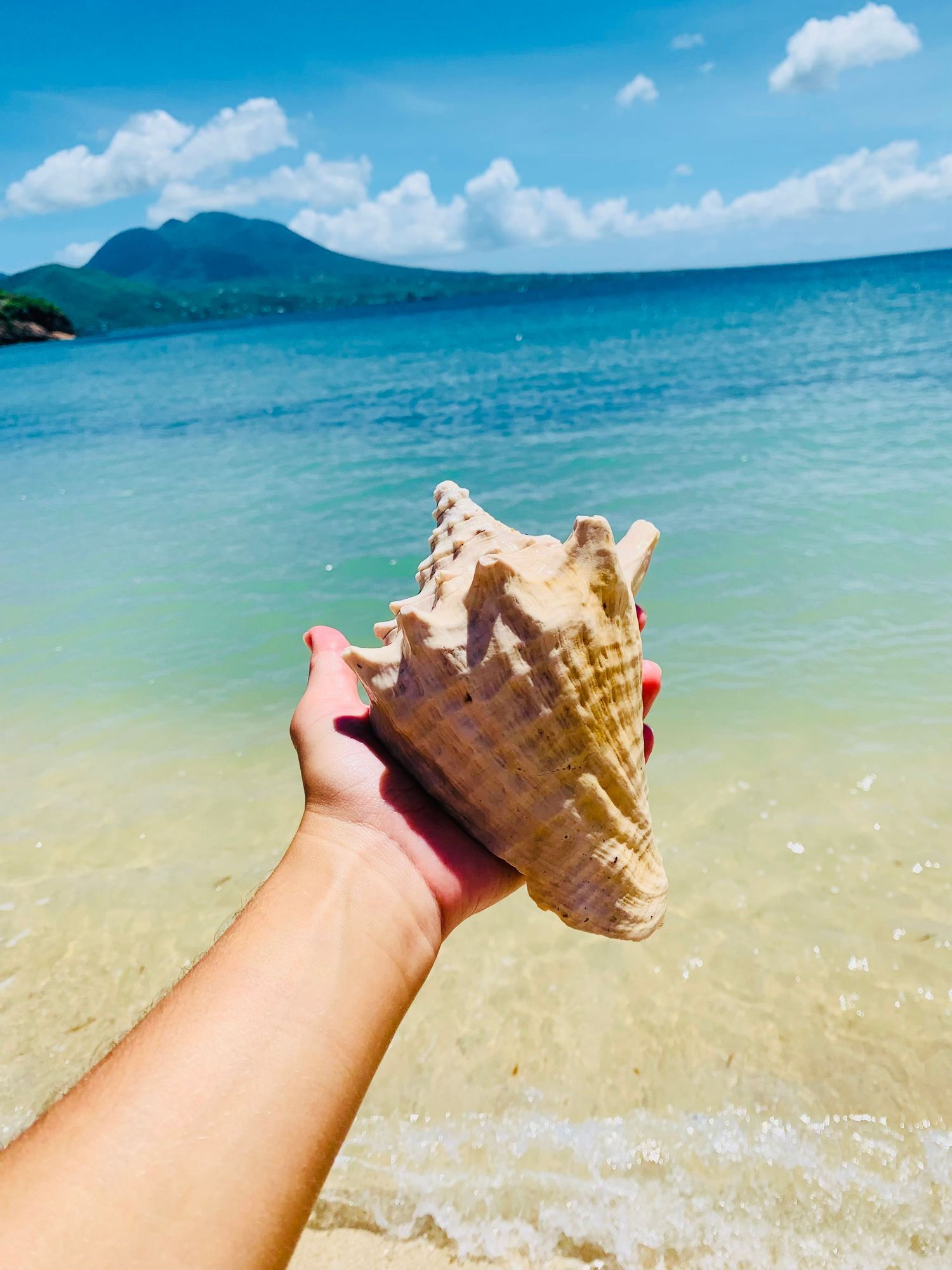 St Kitts Best Beaches: Cockleshell Bay Beach in Saint Kitts Island. Photography Tours in St Kitts from Basseterre.