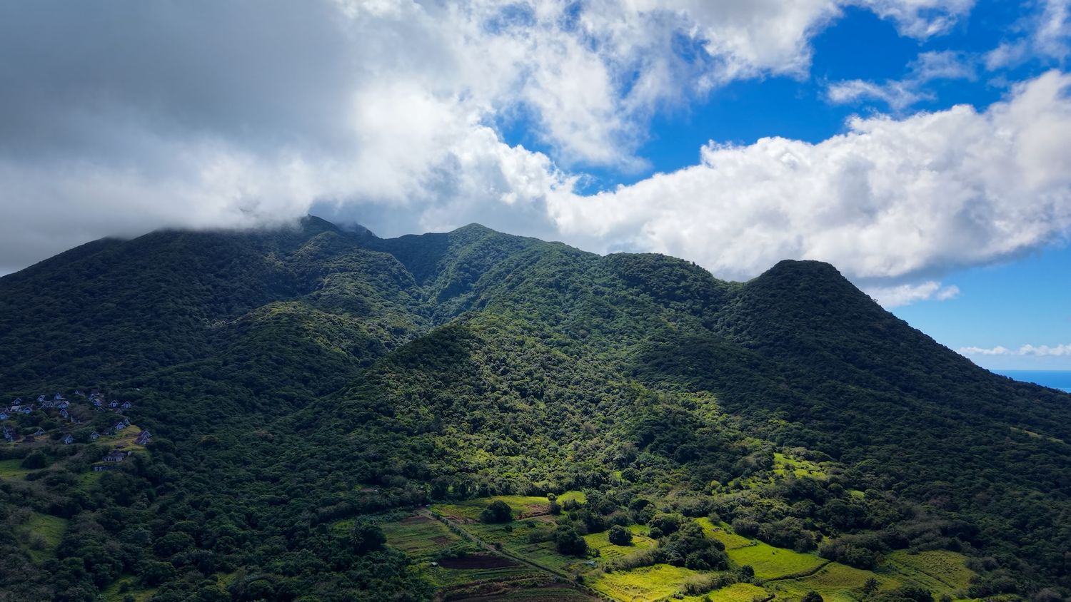 Hiking trail through lush rainforest on Mount Liamuiga St Kitts – Mt Liamuiga volcano hike