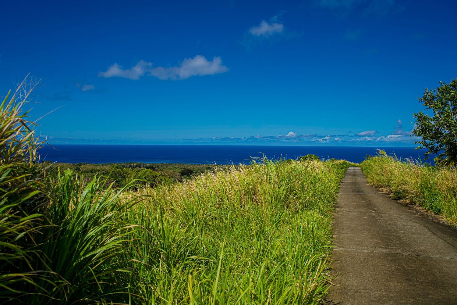 Leaving Mount Liamuiga with views of Statia and Saba in the background. Some of the best photos of Saint Kitts viewing north.