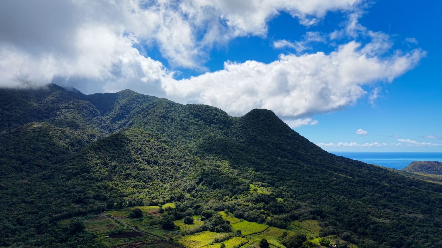 St Kitts Mt Liamuiga Hike is one of the top things to do in St Kitts for active lifestyles. Only 35 minutes from Basseterre Port Zante.
