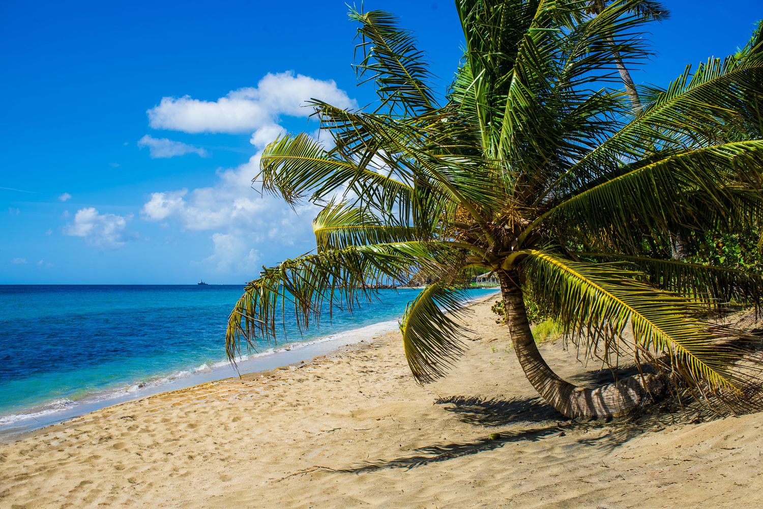 South Friars Bay Beach is one of the best beaches in St. Kitts. Stop here on the best St. Kitts Tours with St. Kitts Cruise Photography.