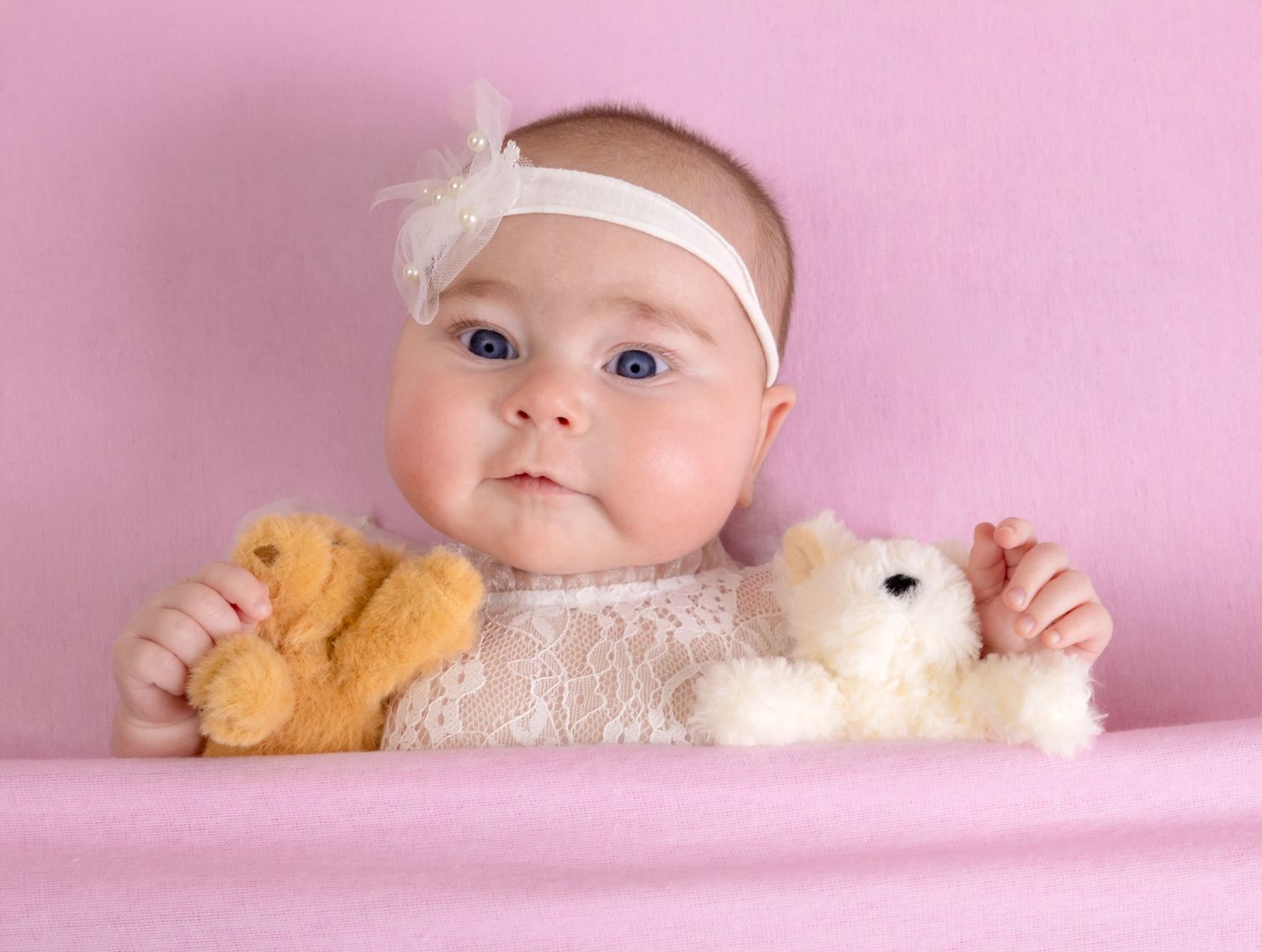 styled-sitter-photography-albury.jpg