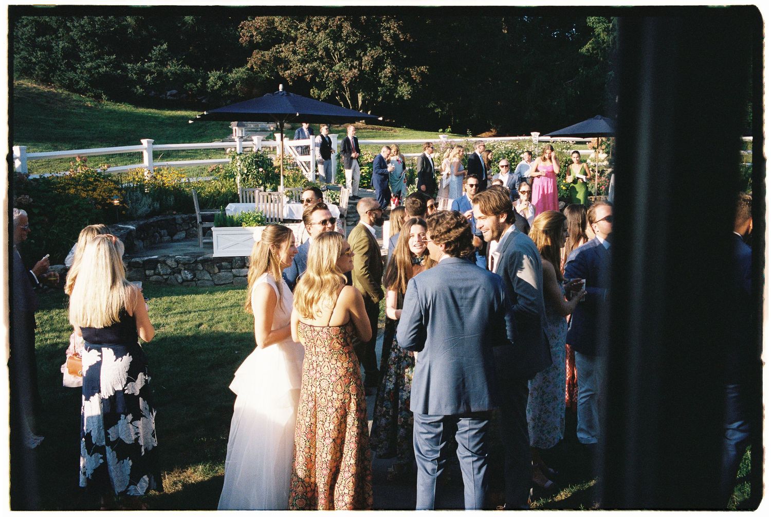 Wedding guests mingling outdoors on a sunny day at a garden reception venue surrounded by lush greenery.