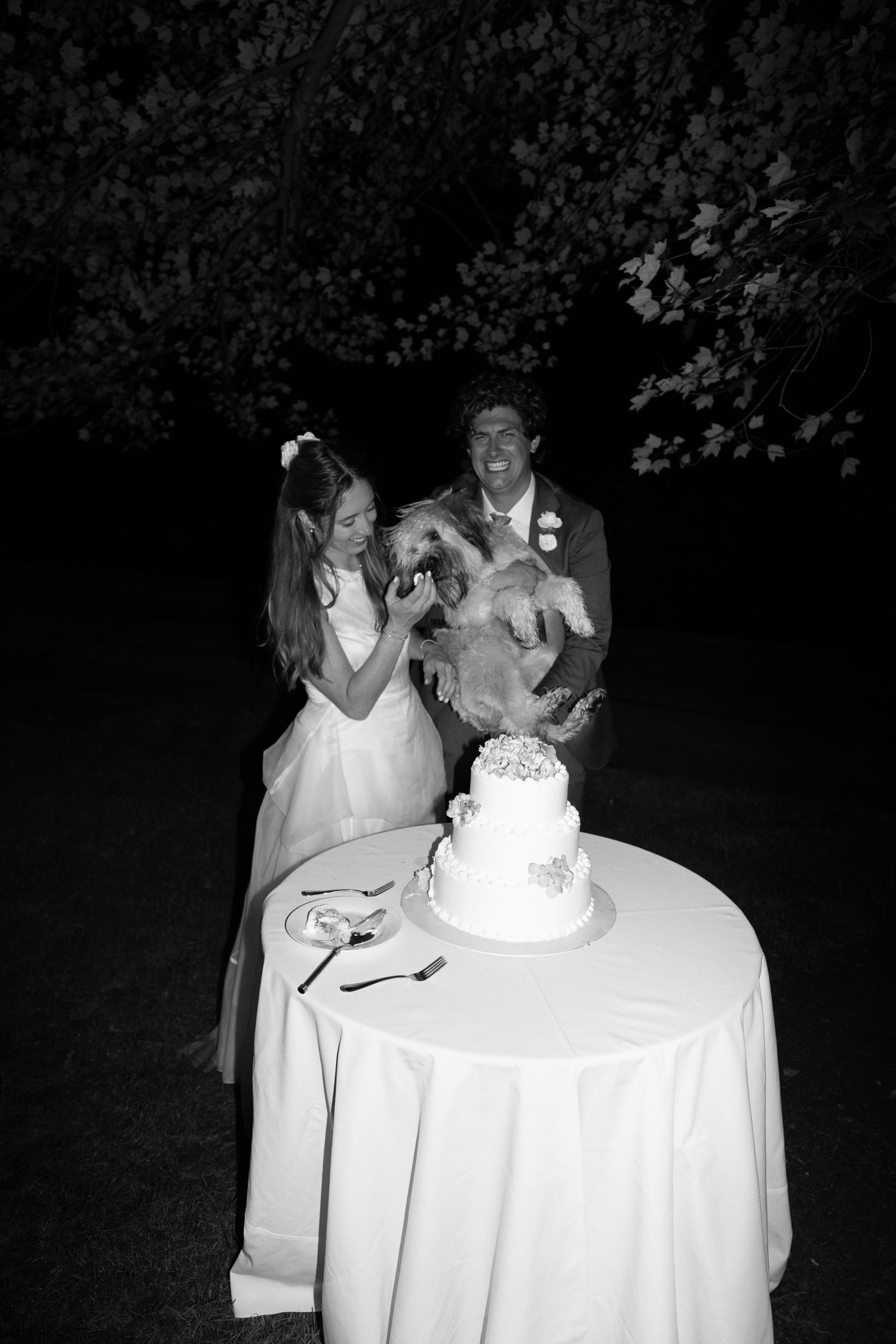 Black and white photo of bride and groom laughing with their dog near a wedding cake.