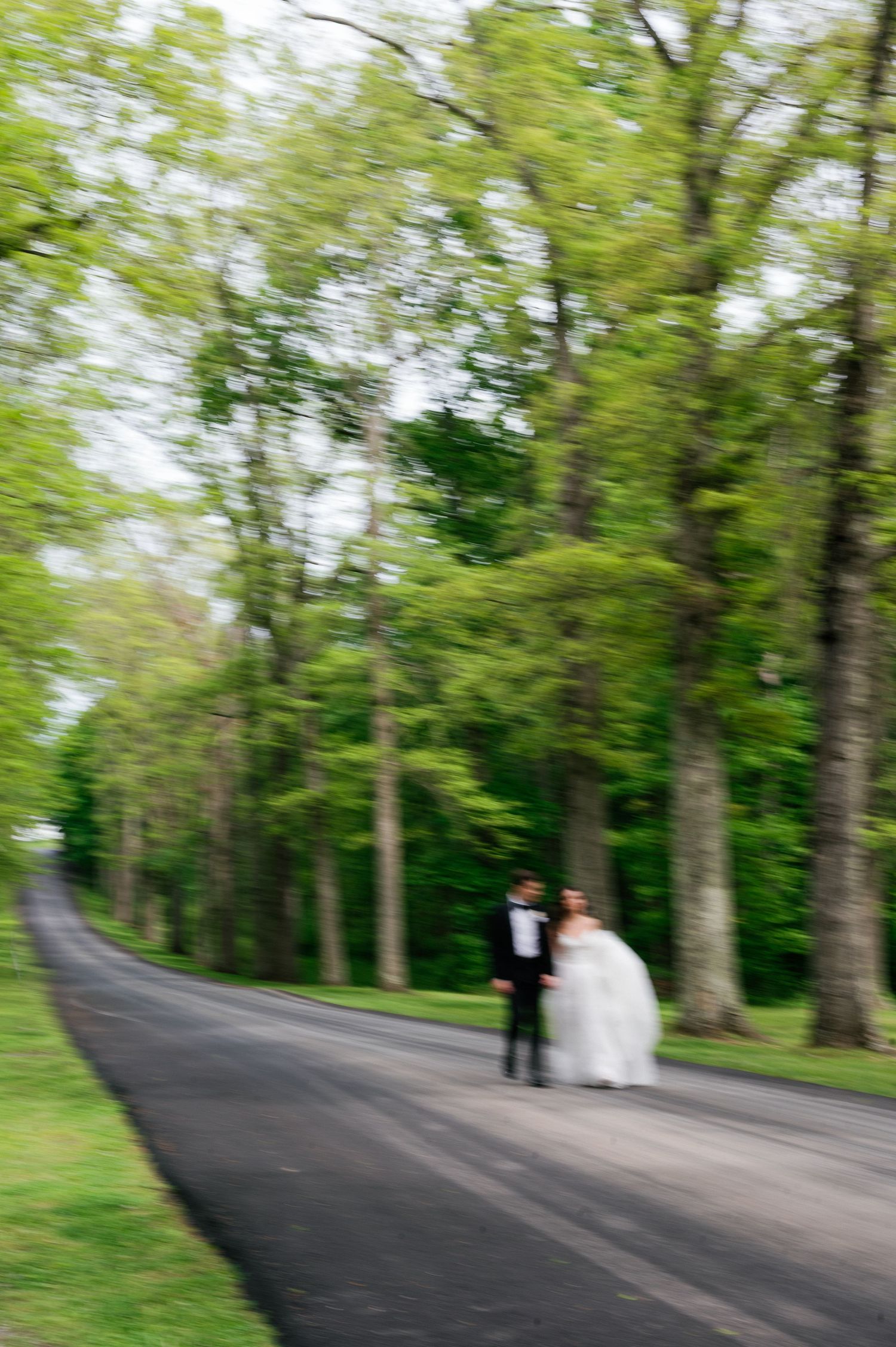 Motion-blurred color photo of bride and groom on a winding road lined with tall green trees.