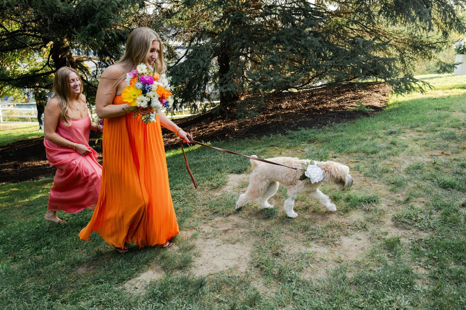 Bridesmaids in colorful orange and pink gowns walking a fluffy white dog on a leash at an outdoor wedding.